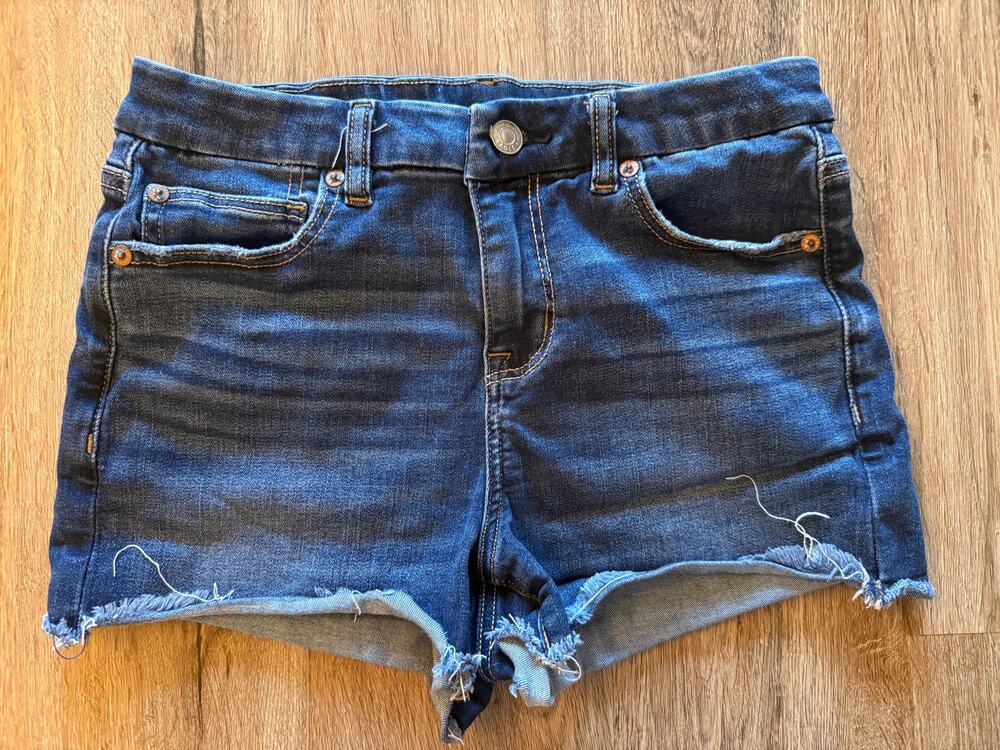 American Eagle Next Level Stretch Curvy Hi Rise Shortie Shorts Size 4